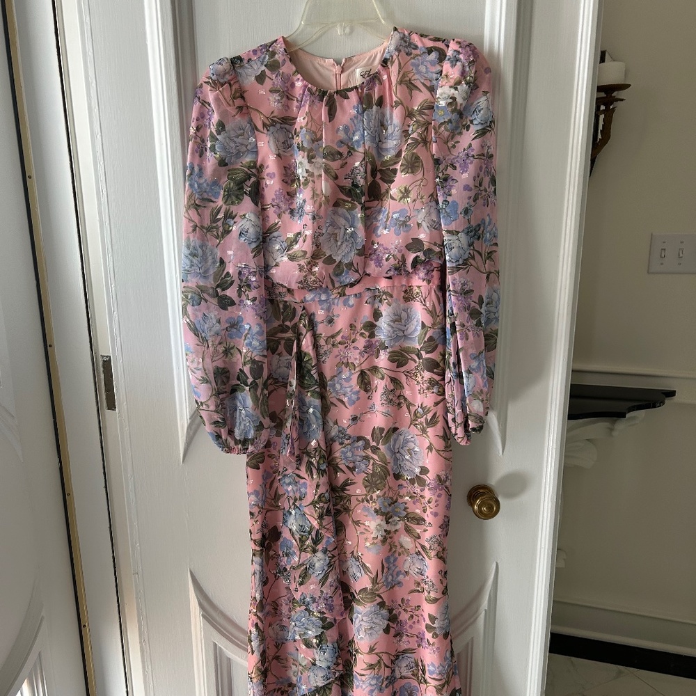 Eliza J floral maxi with blousy sleeves, metallic accents, Size 2
